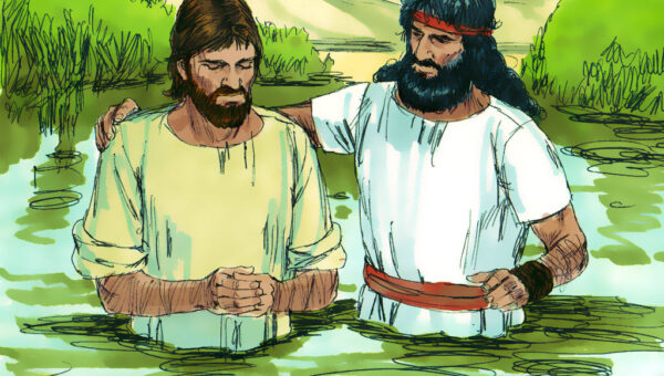 media