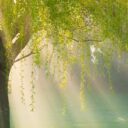 Trusting God’s Promises in Uncertain Times