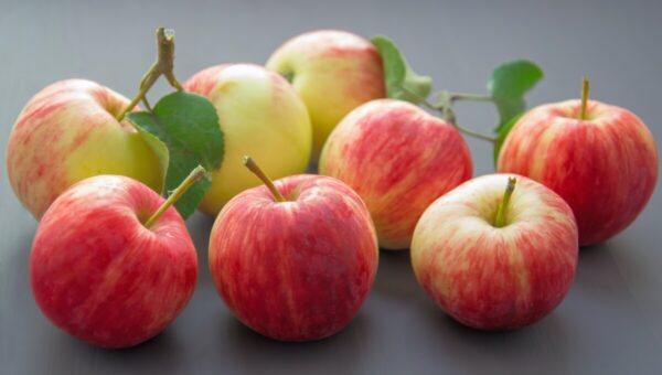 Impressive Health Benefits of Eating an Apple Everyday