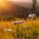 How to Flourish Like David: 5 Keys to Spiritual Growth